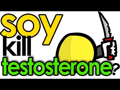 Does SOY Lower TESTOSTERONE?