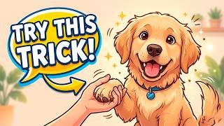 7 Things Your Dog Secretly Needs (But You’re Probably Not Doing) 🐾