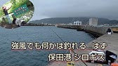 保田港 アジ釣りシロギス釣り 釣り禁止 4月アジはいるのかな Youtube 保田港 アジ釣りシロギス釣り 釣り禁止 4月アジはいるのかな Youtube