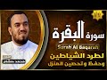 سورة البقرة كاملة مكتوبة طاردة الشياطين بصوت هادئ ومريح جدا محمد هشام    