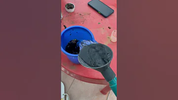 منشط جذور تأخر تمدد حصر النبات اكسبلور يوتيوب Bee تك توك Honey تلقيح ترند منشط جذور النباتات 