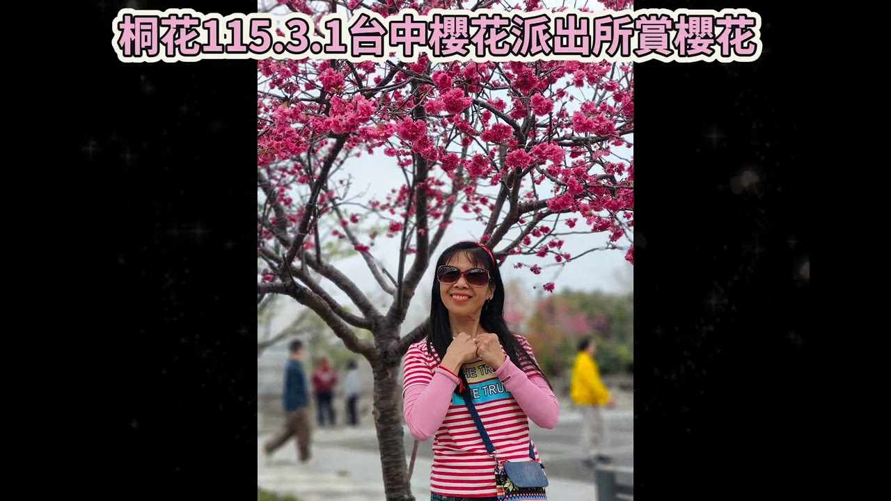 桐花旅行社115.3.1台中櫻花派出所賞櫻