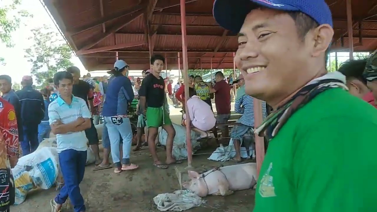 Mga Piggy sa Canlaon City Livestock Market 🙏
