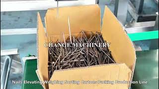 Long nail auto carton box weighing  packing machine