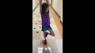 BCES Sensory Path