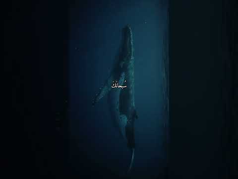 قران كريم بصوت جميل القارئ ادريس أبكر