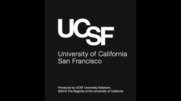 Scientists Catch Precursor Oligodendrocytes in Motion