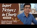 Insert Pictures In Charts#excel #exceltutorialforbeginners #exceltutorial #chartexcel