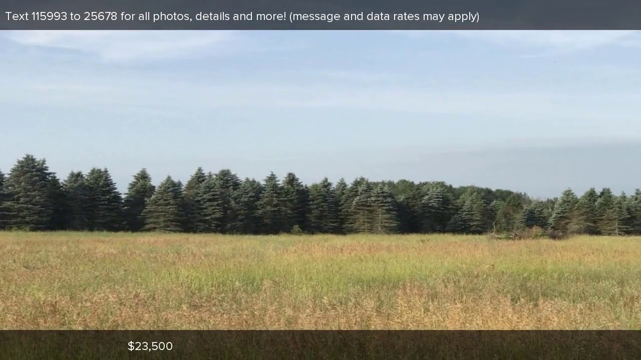 V/L Lincoln Street, Bitely, MI Presented by Janet Dodge.