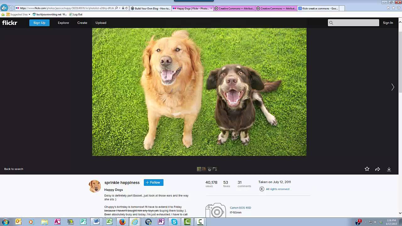 Find Free Blog Photos on Flickr