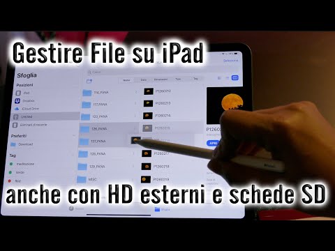 gestire file su iPad come su Mac e collegare memorie esterne (hard disk, chiavette, schede SD)