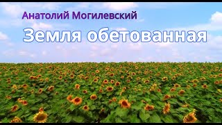 Анатолий Могилевский. Земля обетованная.