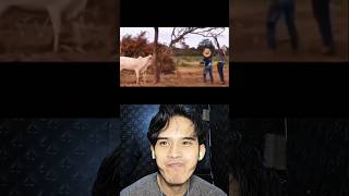 Try to Keep a Straight Face 😭‎#funny #memes #funnyvideos #shorts