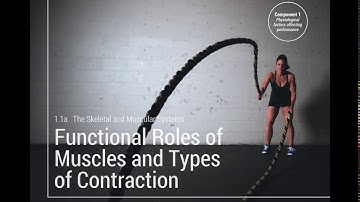 InterACTIVE Powerpoints for OCR A Level PE