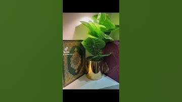 ٤ سبتمبر ٢٠٢٢تلاوة خاشعة فضيلة الشيخ عبدالله الخليفي رحمه الله تعالى