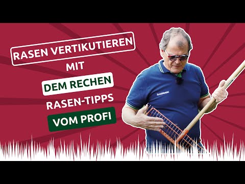 Video: Wofür wird ein Handrechen verwendet: Tipps zur Verwendung eines Handrechens im Garten