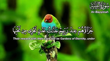 القران الکریم سورة البینة القارئ احمد الشافعي surah Al-Bayyinah Ahmad Al-shafey Arabic or English