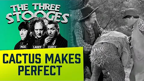 The THREE STOOGES - Ep. 61 - Cactus Makes Perfect