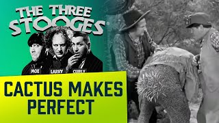 The THREE STOOGES  Ep. 61  Cactus Makes Perfect