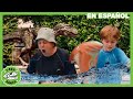 ¡Dinosaurio gigante T-Rex en la piscina! Enfrentamiento de dinosaurios con jueguetes inflables