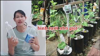 Top 4 cách làm bình tưới cây mini hay nhất năm 2022