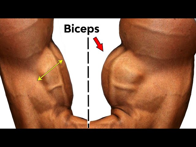 6 Exercises to build biceps that you have not seen before💪 