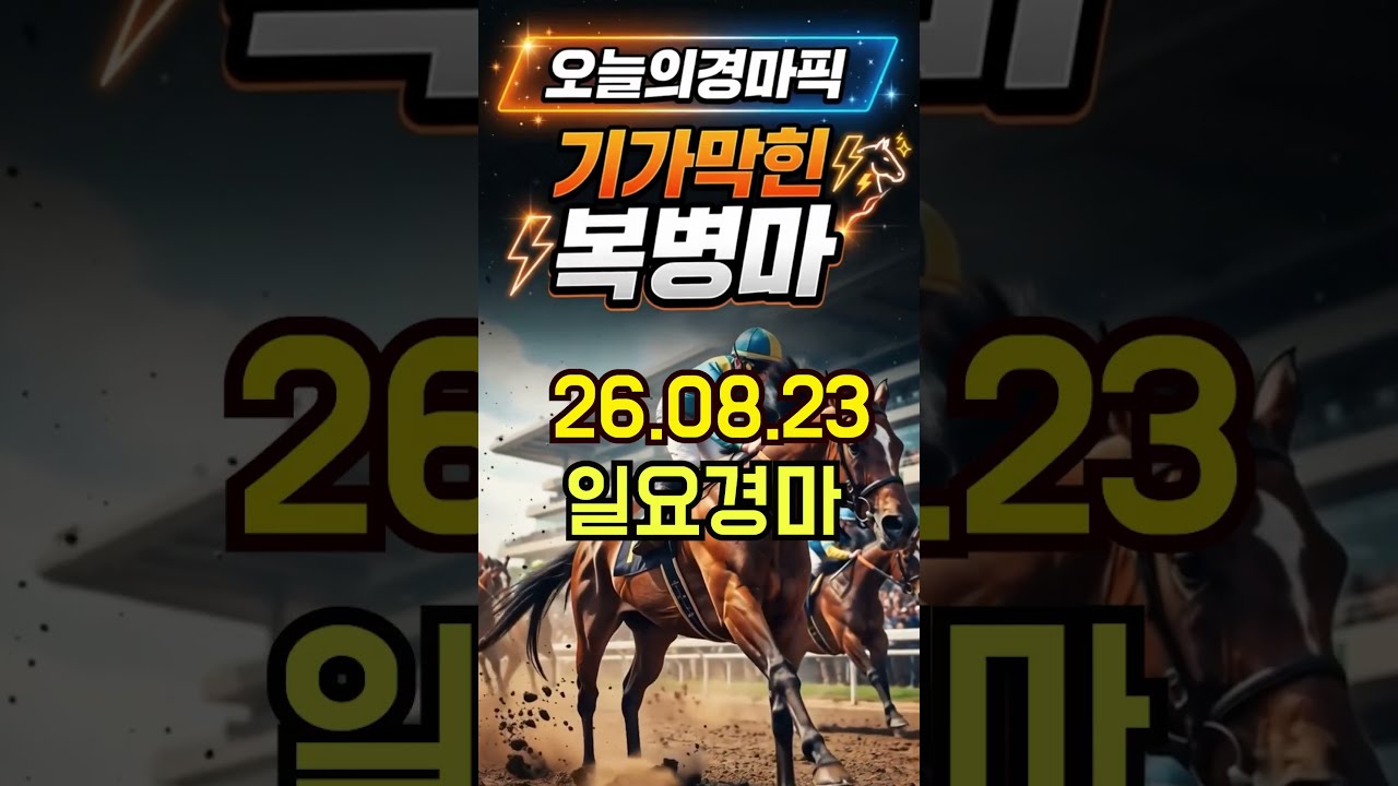 오늘의경마픽 8월23일 일요경마 핵심 복병마