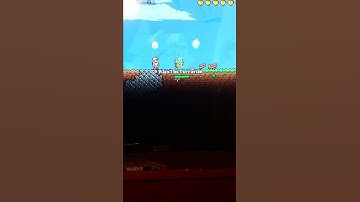 Weird Terraria Lag??? Is it Lag or Glitch???