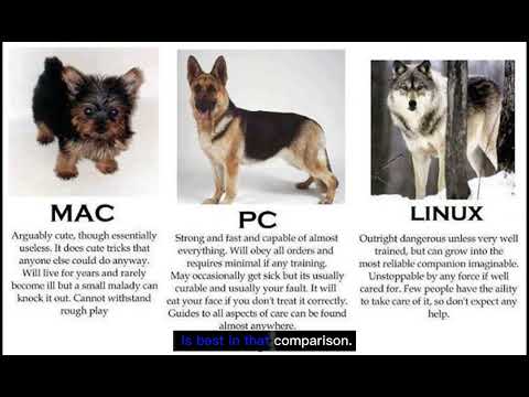 Pictures of Funny