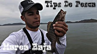 Como Pescar Pargos De Orilla Marea Baja