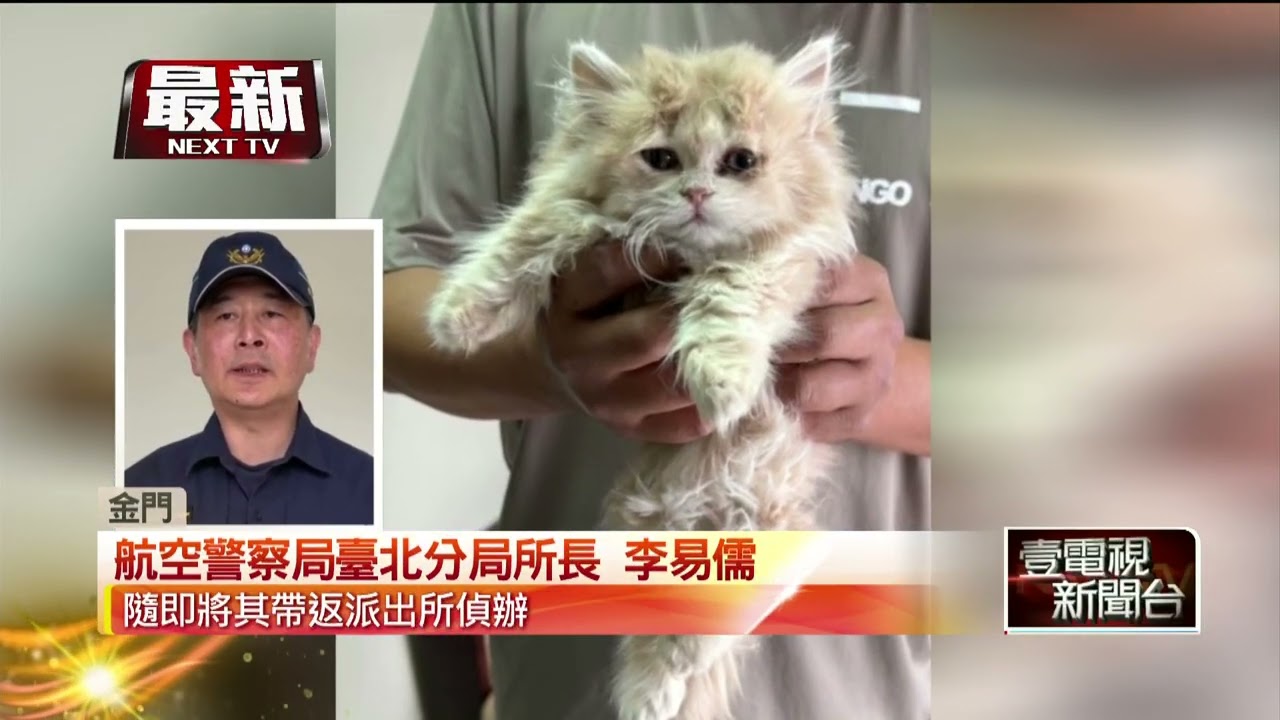 露出「喵」腳！ 台男「肉身綁雙貓」 想走私回台遭航警逮