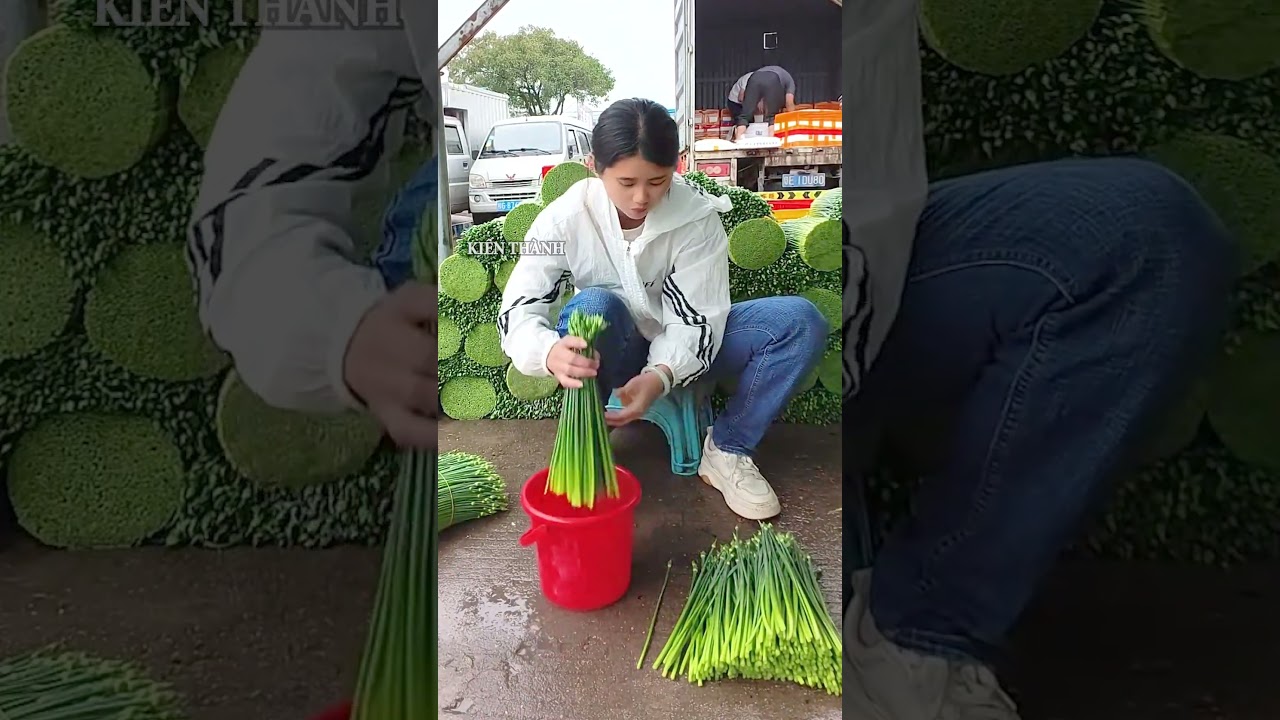 Kỹ năng buộc lá hẹ tây đẹp mắt của cô gái #shorts