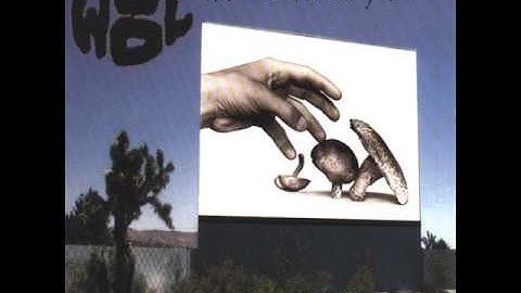 Wool - Short Term Memory Loss