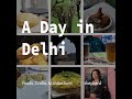 9 Dishes from Delhi | A day in Delhi | shepherd