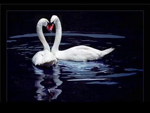 ferebidan ferebamde. ჯგუფი მირაჟი - ფერებიდან ფერებამდე ✔