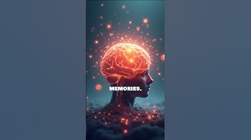 "The Brain Explained: How Your Mind Really Works