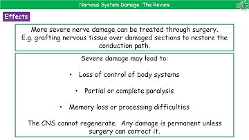 OCR Gateway (9-1) B3.1.5 - Nervous System Damage