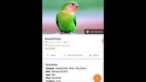 Adforest  Classified Apps for Android – Mobile Classifieds Ads App - Virtual Tour
