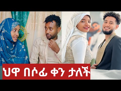 ጀማል ቤሎ ካላለበሰኝ