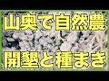 【自然農】山奥でパーマカルチャーに挑戦！荒れ地を開墾して畑を作り、種を播いて苗を植える【雑草マルチ】