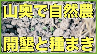 【自然農】山奥でパーマカルチャーに挑戦！荒れ地を開墾して畑を作り、種を播いて苗を植える【雑草マルチ】