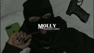 Playboy Carti - Molly (slowed   reverb)