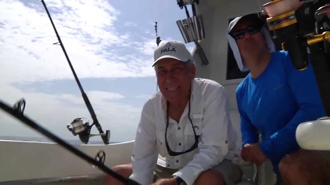 Dolphin (Mahi Mahi) Fishing Off The Coast Of Miami, Florida! YouTube