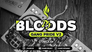 Dj jedag jedug bloods gang v2 || the party enjoy:)