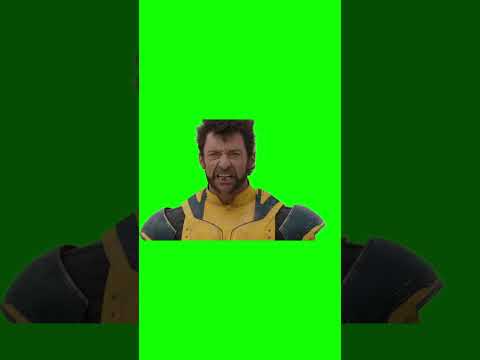 Wolverine 