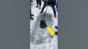 Een vreemde levensredder onder het ijs ✨