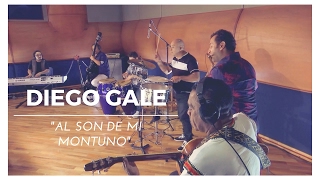 MEINL Percussion - Diego Gale - 