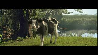 Cow 3d animation
