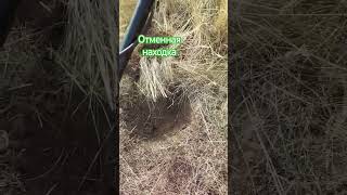 Отменная находка #клад #metaldetecting #кладоискатель #коп #копатели #природа #поискисокровищ