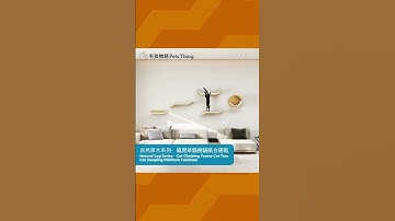 自然原木系列・掛壁上牆貓爬架貓樹貓跳台傢俬 #貓窩 #貓樹 #貓跳台 #cattree #catpole #貓筒 #逗貓球 #cat #貓咪爬架 #寵物友善日常 #寵物用品 #寵物科技 #麻繩仿藤跳台